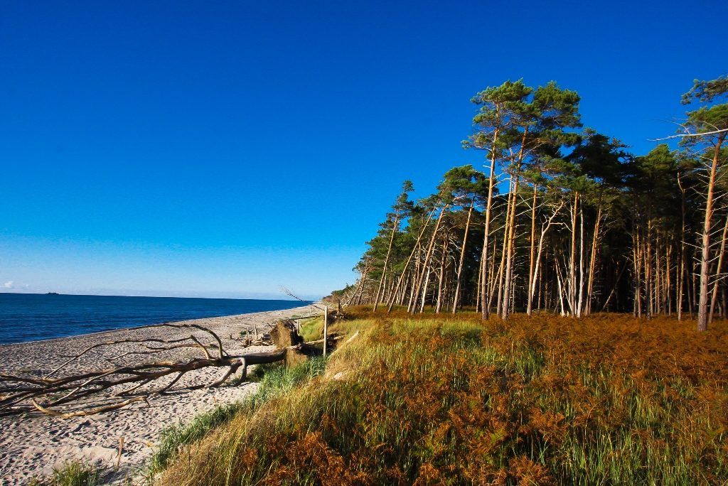 Weststrand Fischland Darß