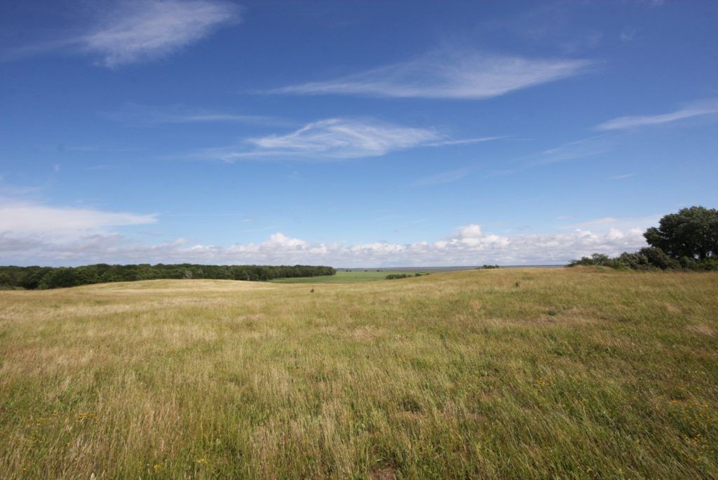 Wiesenlandschaft Bodden