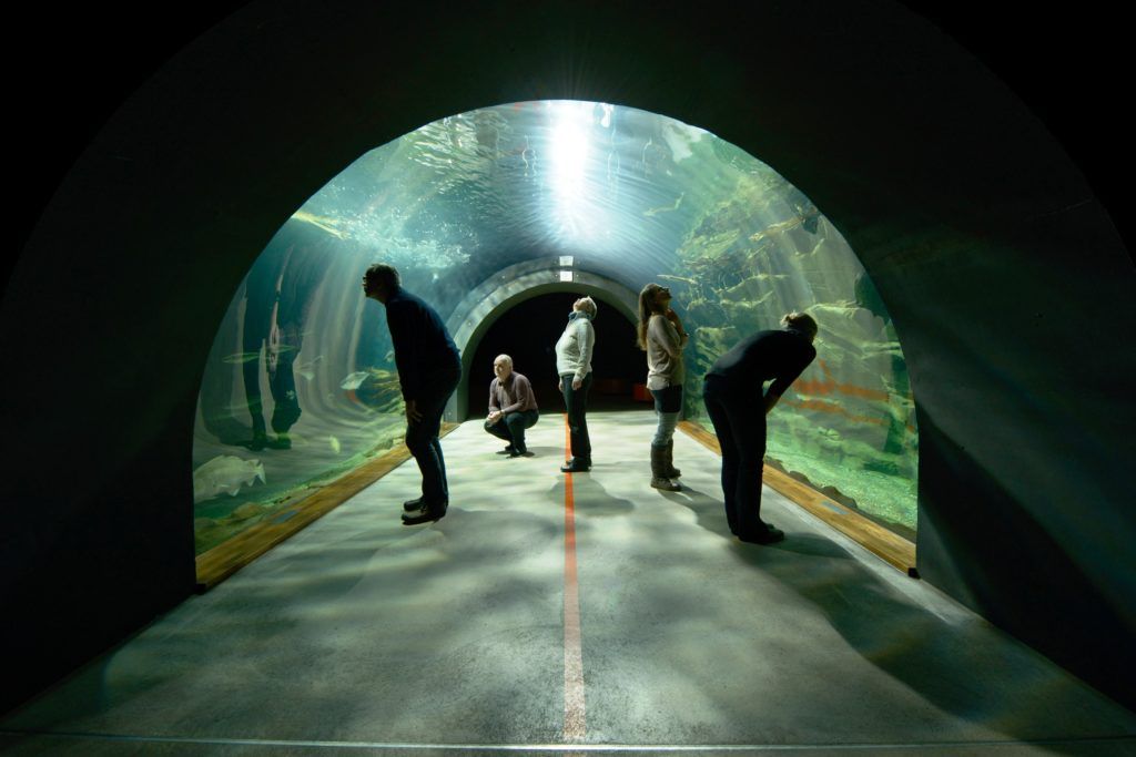 _jms9555_helgoland-tunnel_presse