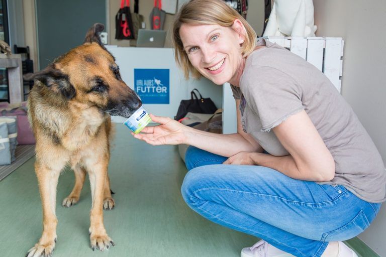Urlaub mit Hund Die schönsten Hundestrände auf dem FischlandDarß