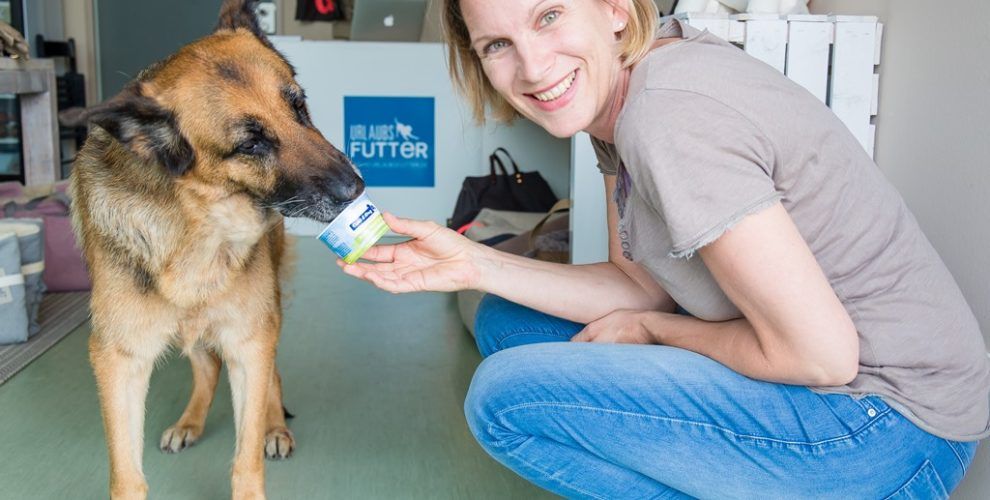 Hier Bekommst Du Alles Fur Deinen Urlaub Mit Hund Auf Fischland Darss