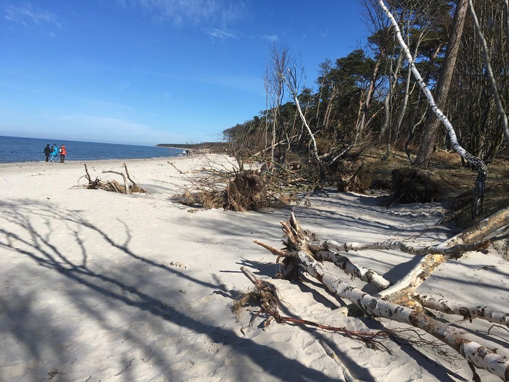 Veranstaltungen Im Ostseebad Rerik