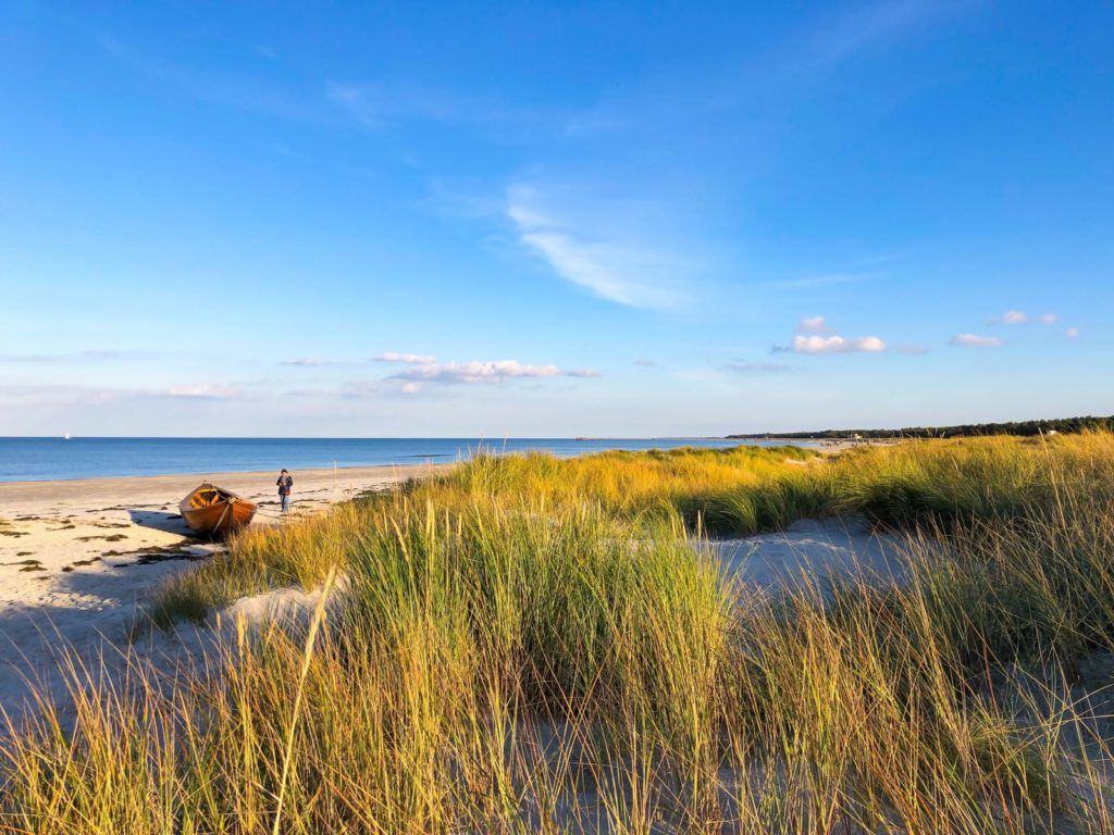 Nordstrand Prerow Hundeurlaub Fischland-Darß-Zingst