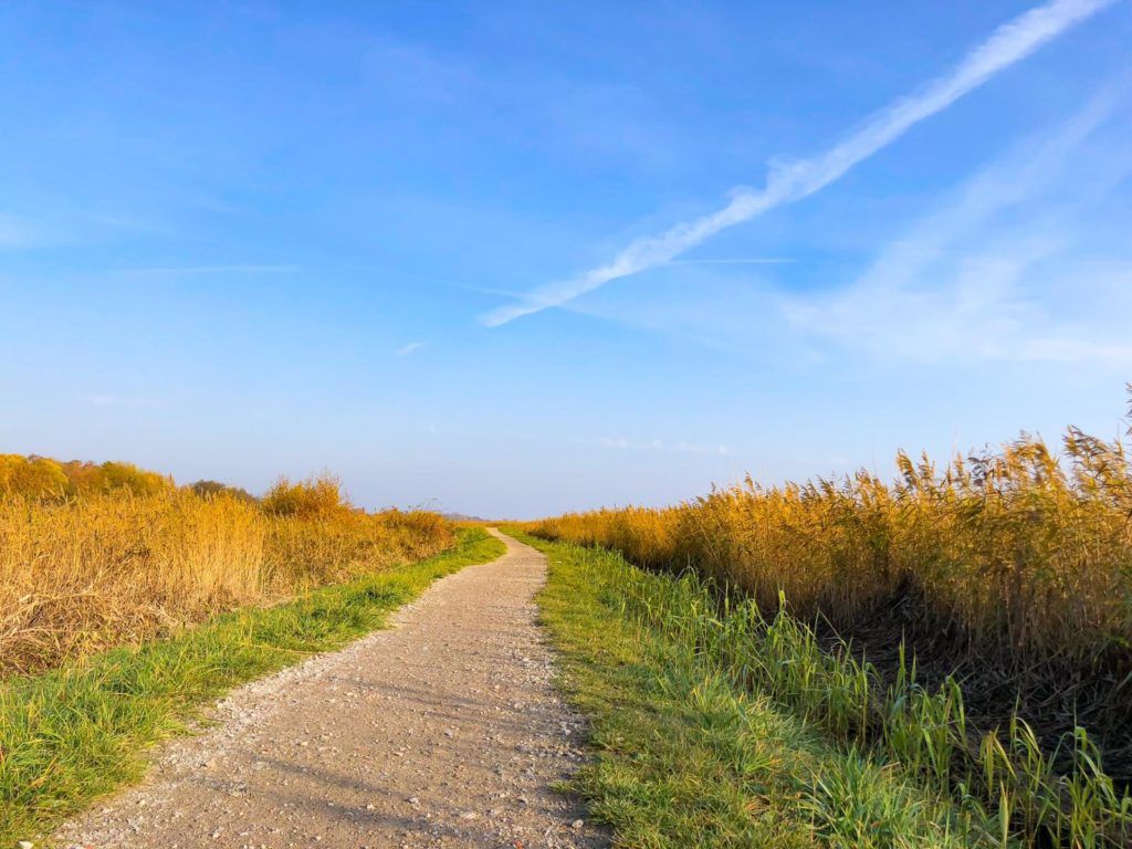 Wanderwege Wustrow Hundeurlaub Fischland-Darß-Zingst