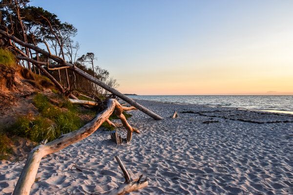 Weststrand Fischland-Darß-Zingst